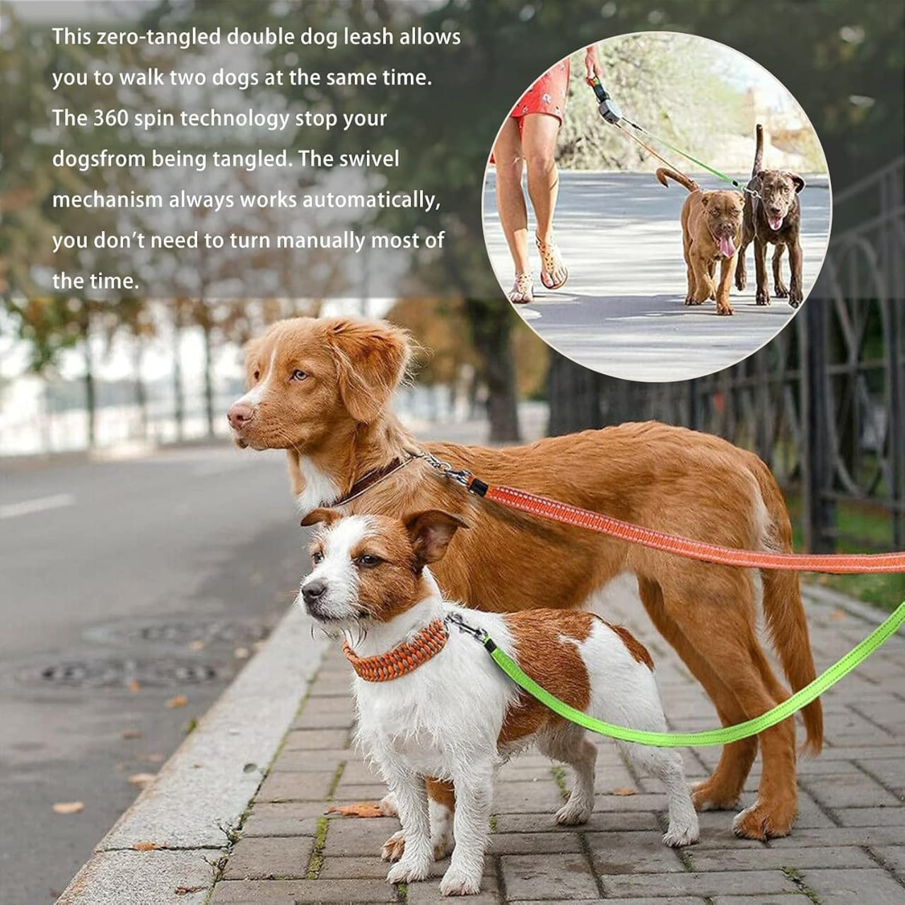 Ultimate Dual Dog Leash -Control, Comfort & Convenience